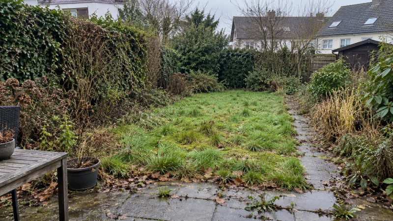 Vorher: verwilderter Reihenhausgarten mit hohem Gras, Moos, überwachsener Hecke und Laub auf dem Weg